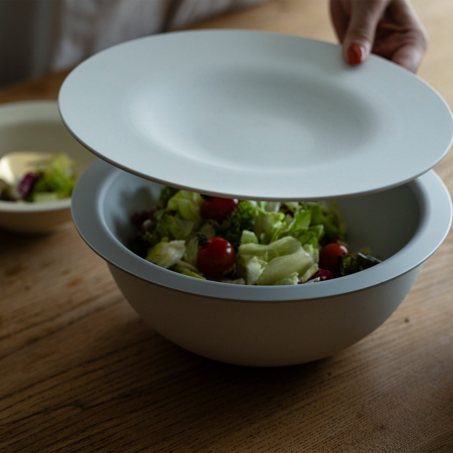 オーバー プレート(φ250用)